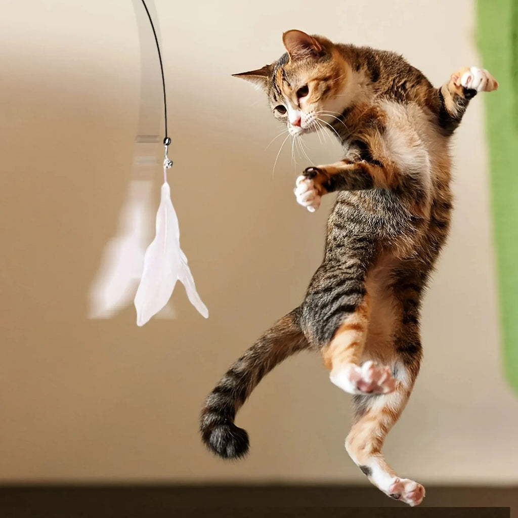 Interactive Cat Teaser Toy – Fun & Exercise
