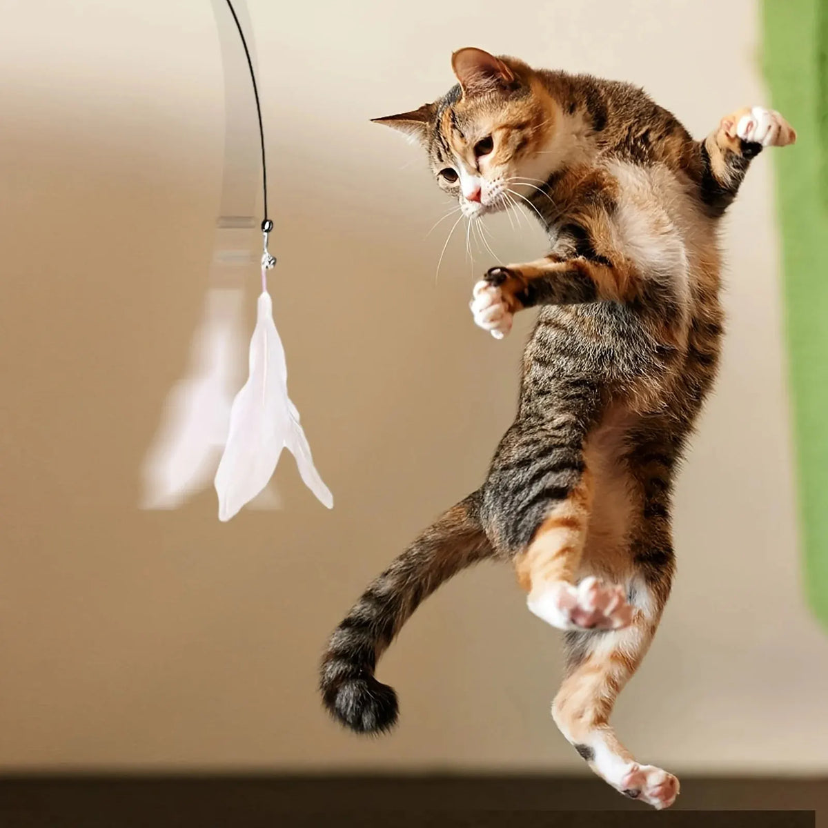 Interactive Cat Teaser Toy – Fun & Exercise
